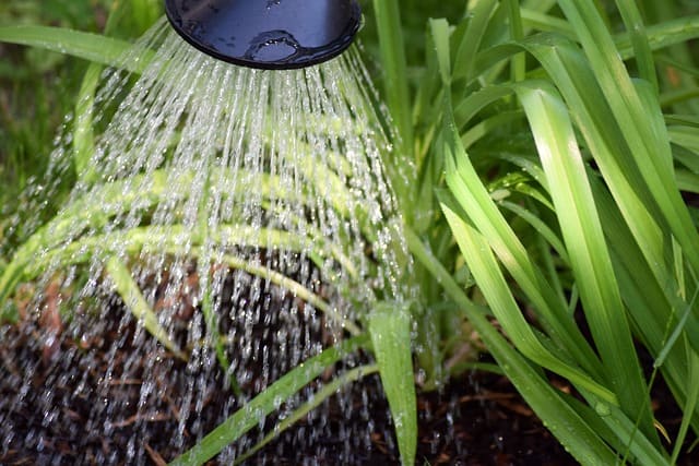 Pourquoi installer un récupérateur d’eau de pluie ?