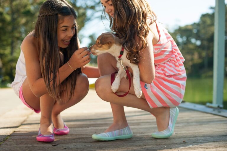 jouets animaux